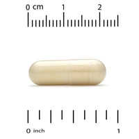 Thumbnail for California Gold Nutrition New Zealand, Green-Lipped Mussel Plus Ginger, Joint Health Formula, 500 mg, 240 Veggie Caps