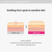 Thumbnail for ROVECTIN Cica Care Face Balm - Immediate Redness Relief Face Moisturizer for Acne Prone, Sensitive Skin | Spots, Scar Reducing with Calamine and Madecassoside | Vegan, Korean Skincare(1.4 fl oz)