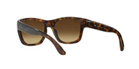 Thumbnail for Ray-Ban RB4194 Square Sunglasses, Light Havana/Brown Gradient, 53 mm