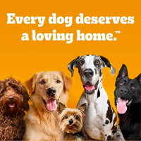 Thumbnail for Pedigree Wet Dog Food, Choice Cuts Adult Canned Dog Food Variety Pack, 13.2 oz. Cans, 12 Count