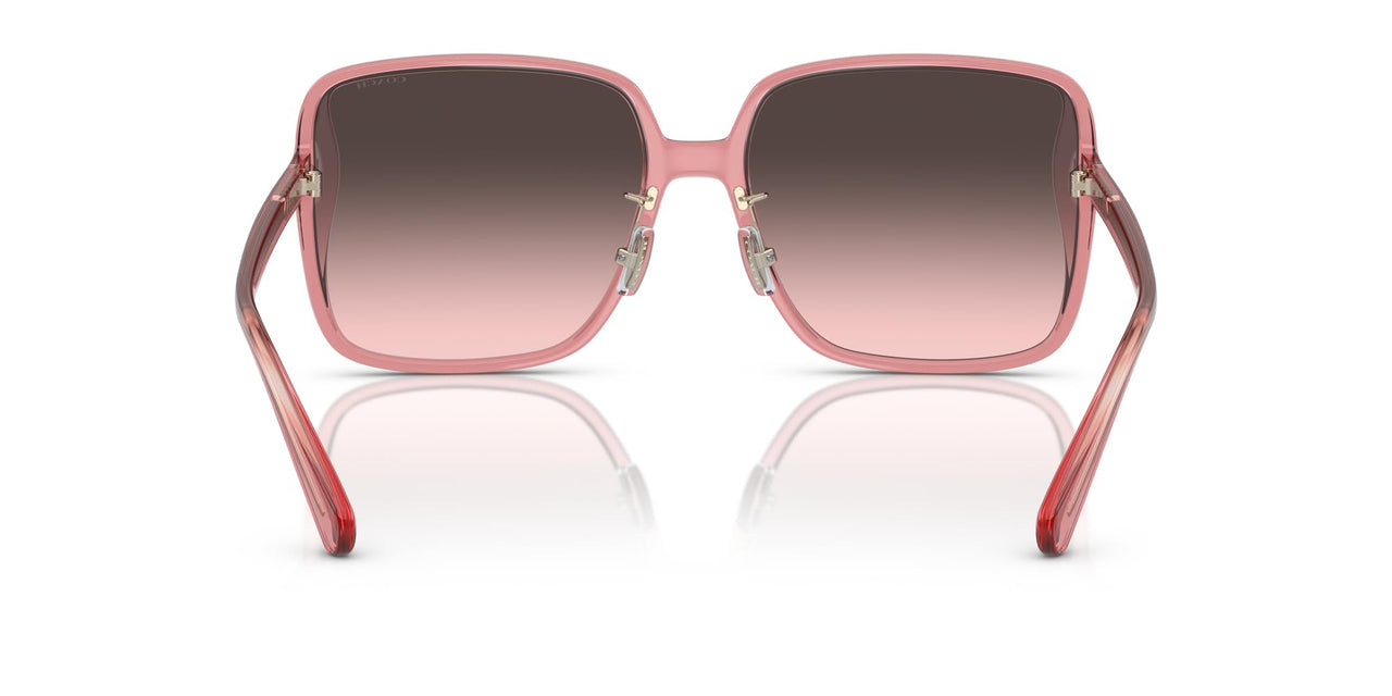 COACH Sunglasses HC 8368 D 580046 Ch572 Transparent Berry Grey P