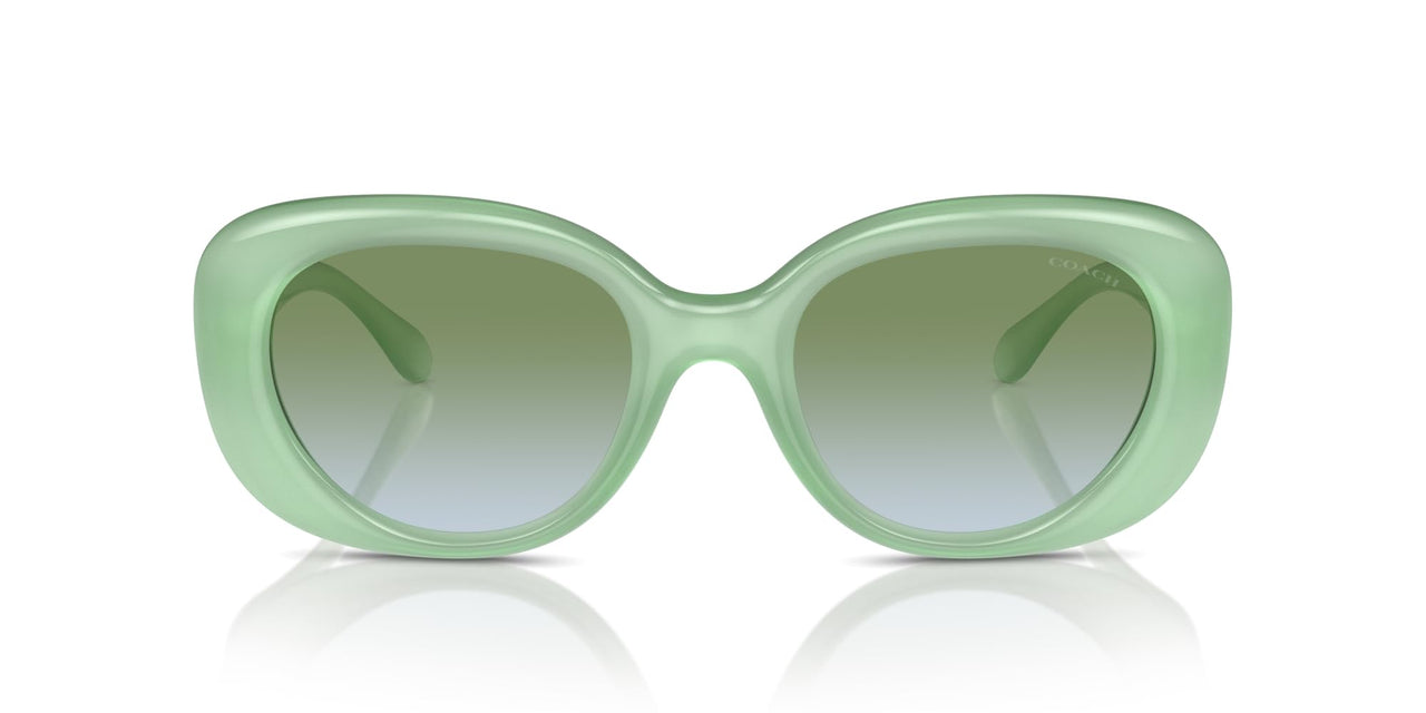 COACH Sunglasses HC 8391 U 5807I7 Cr609 Milky Mint Green Blue Gr