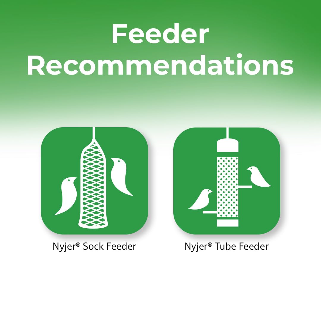 Lyric Nyjer Seed - 3 lb. Bag