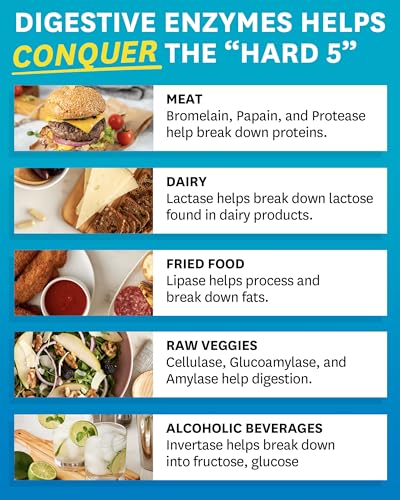 Zenwise Health Digestive Enzymes and Bromelain for Gut Health - Probiotic Multi Enzymes with Prebiotics and Probiotics for Women and Men for Digestive Health and Bloating Relief for Digestion - 45 CT