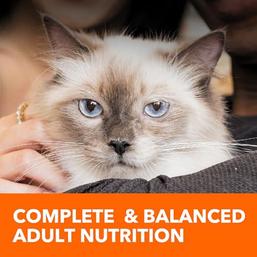 IAMS Proactive Health Dry Cat Food Hairball Care, Adult Cat Food, with Real Chicken and Salmon, 3.5 lb. Bag