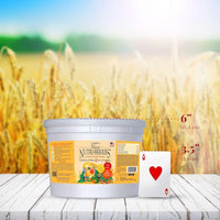 Thumbnail for LAFEBER'S Classic Nutri-Berries Pet Bird Food, Made with Non-GMO and Human-Grade Ingredients, for Cockatiels (4 lb)