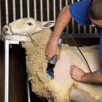 Thumbnail for Premier 1 Spitfire Cutter for Livestock Shearing Machine