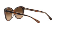 Thumbnail for COACH Sunglasses HC 8365 U 574274 Ch566 Tortoise/Transparent B