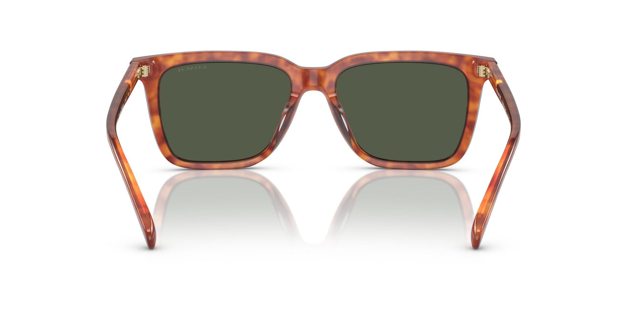 Coach HC8385U Universal Fit Sunglasses, Caramel Tortoise/Army Green Solid, 54 mm
