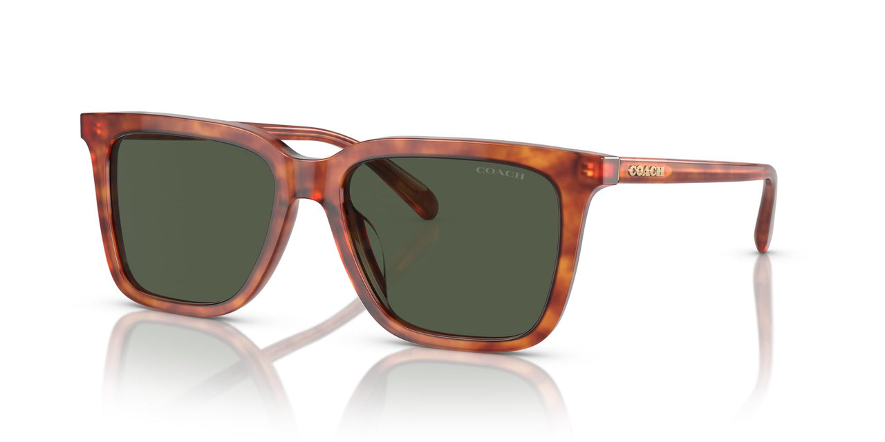 Coach HC8385U Universal Fit Sunglasses, Caramel Tortoise/Army Green Solid, 54 mm