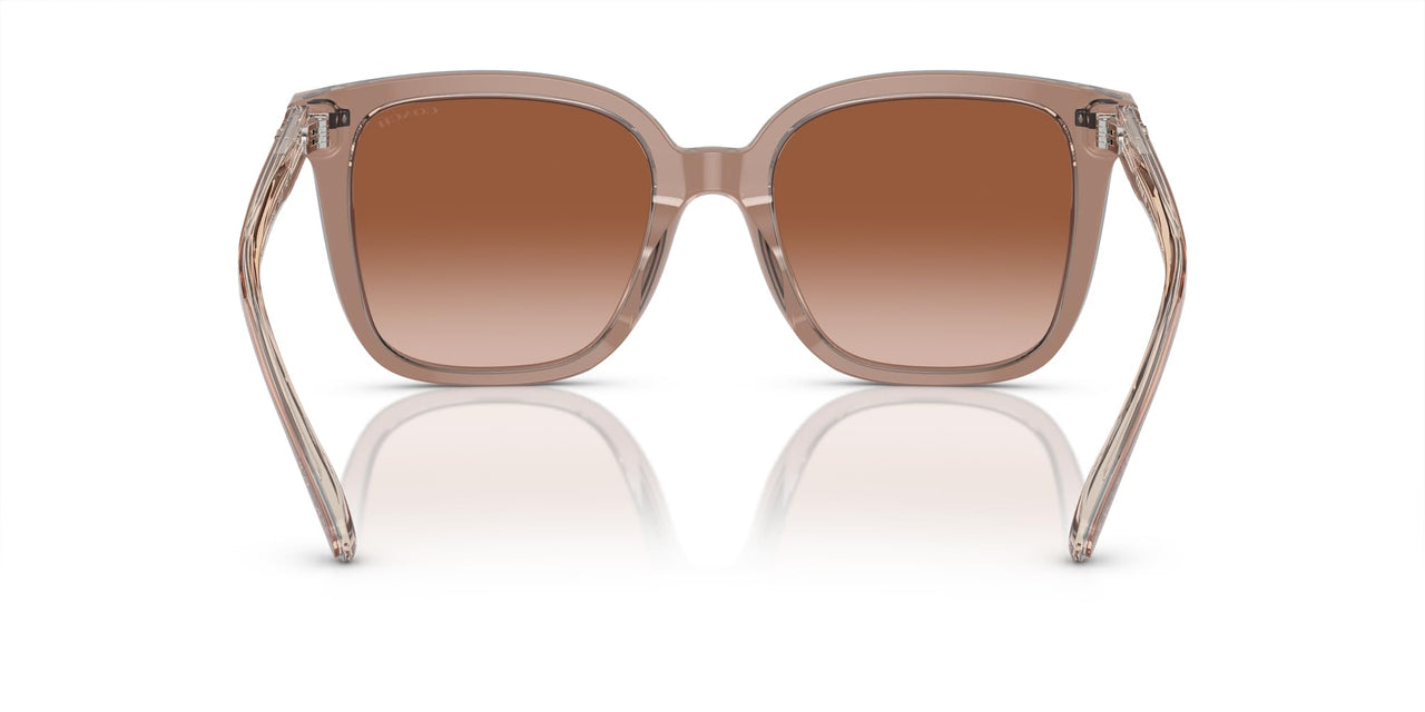 Coach HC8381U Universal Fit Sunglasses, Transparent Brown/Grey/Brown Gradient, 54 mm