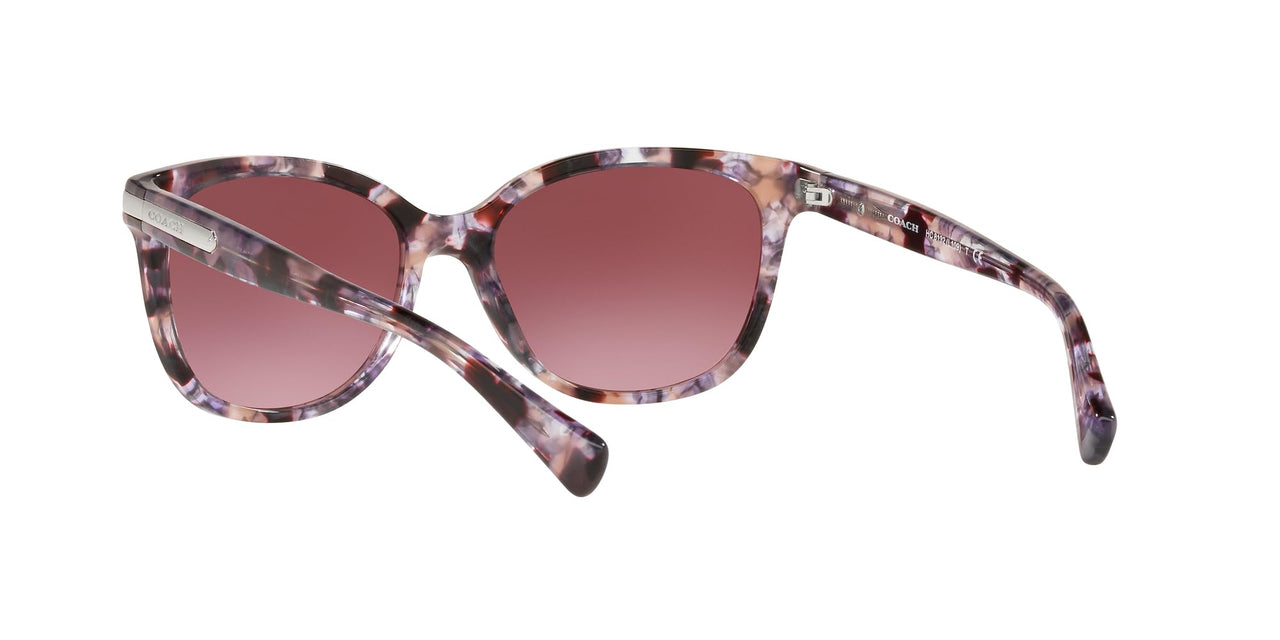 Coach HC8132 Sunglasses, Purple Tortoise/Burgundy Gradient, 57 mm