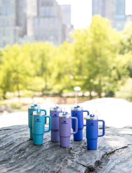 Stanley Quencher H2.0 Tumbler with Straw 30 oz | Flowstate 3-Position Lid | Cup Holder Compatible for Travel | Insulated Stainless Steel Cup | BPA-Free | Iris