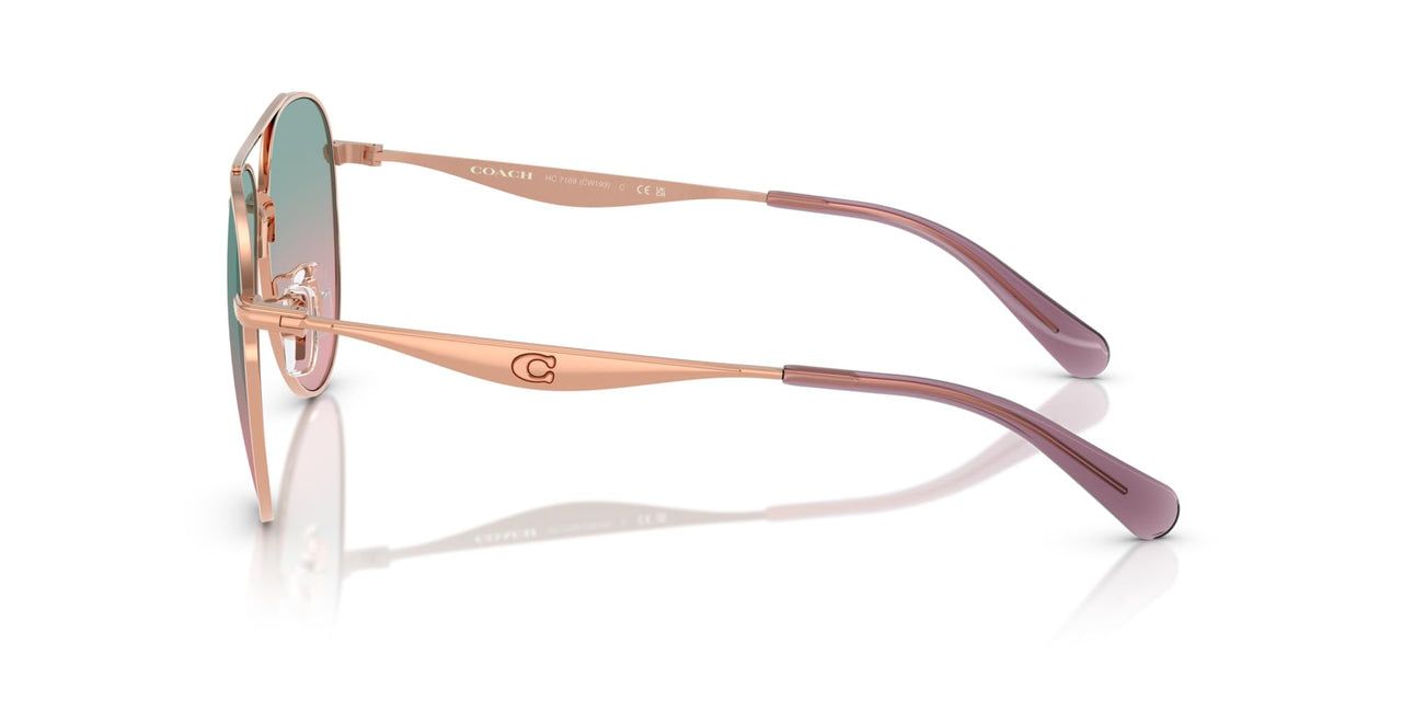 COACH Sunglasses HC 7169 93310Q Cw193 Shiny Rose Gold Forest G