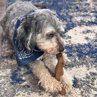Thumbnail for SPOT Dura-Fused Leather Squirrel Dog Toy – Real Leather & Jute Fabric, Double-Stitched & Durable, Soft Stuffed Squeaky Interactive Chew Toy for Moderate Chewers, Small & Medium Dogs, 8in