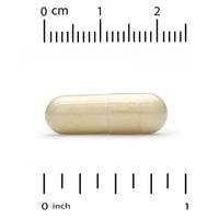 Thumbnail for California Gold Nutrition Proteolytic Enzymes, 90 Delayed Release Veggie Capsules