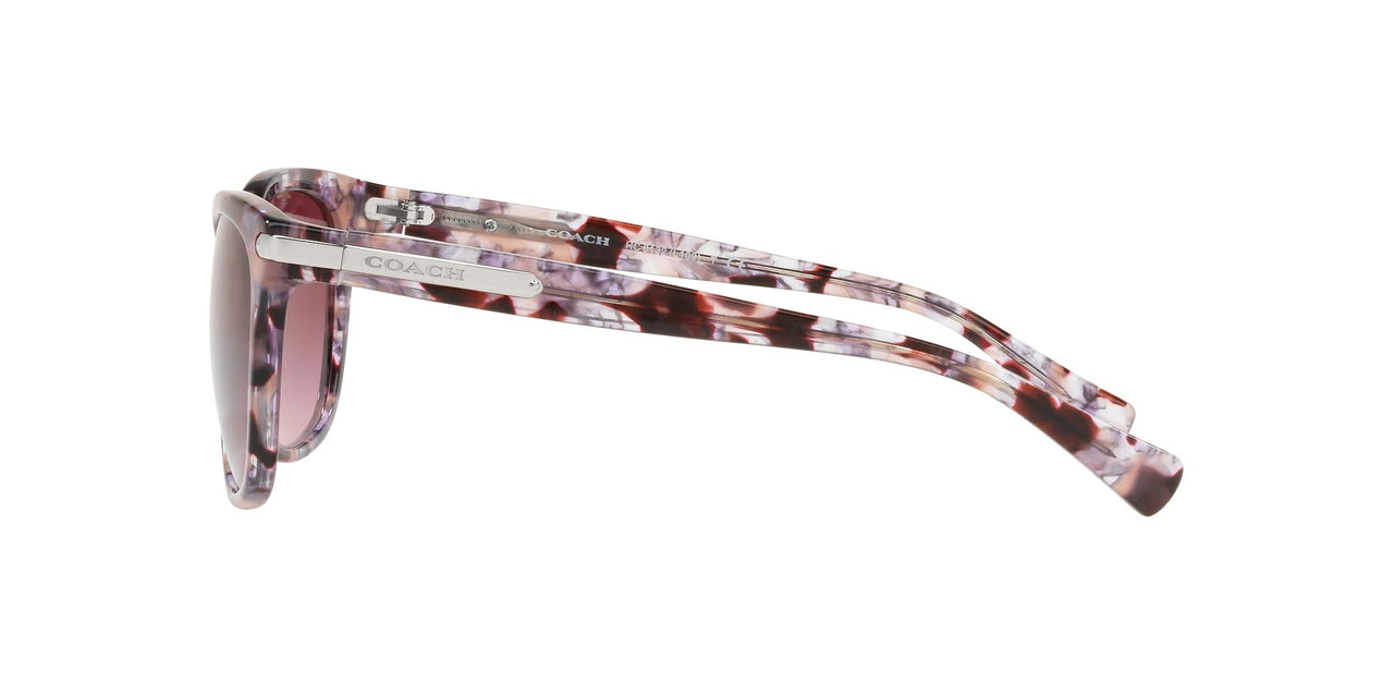Coach HC8132 Sunglasses, Purple Tortoise/Burgundy Gradient, 57 mm