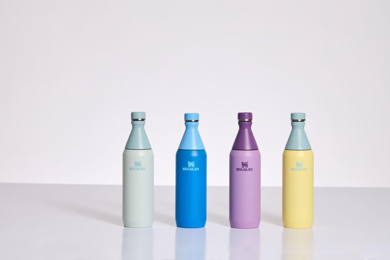 Stanley All Day Slim Bottle 20 oz | Twist On Lid with Leakproof Seal | Slim Design for Travel & Gym | Insulated Stainless Steel | BPA-Free | Mist