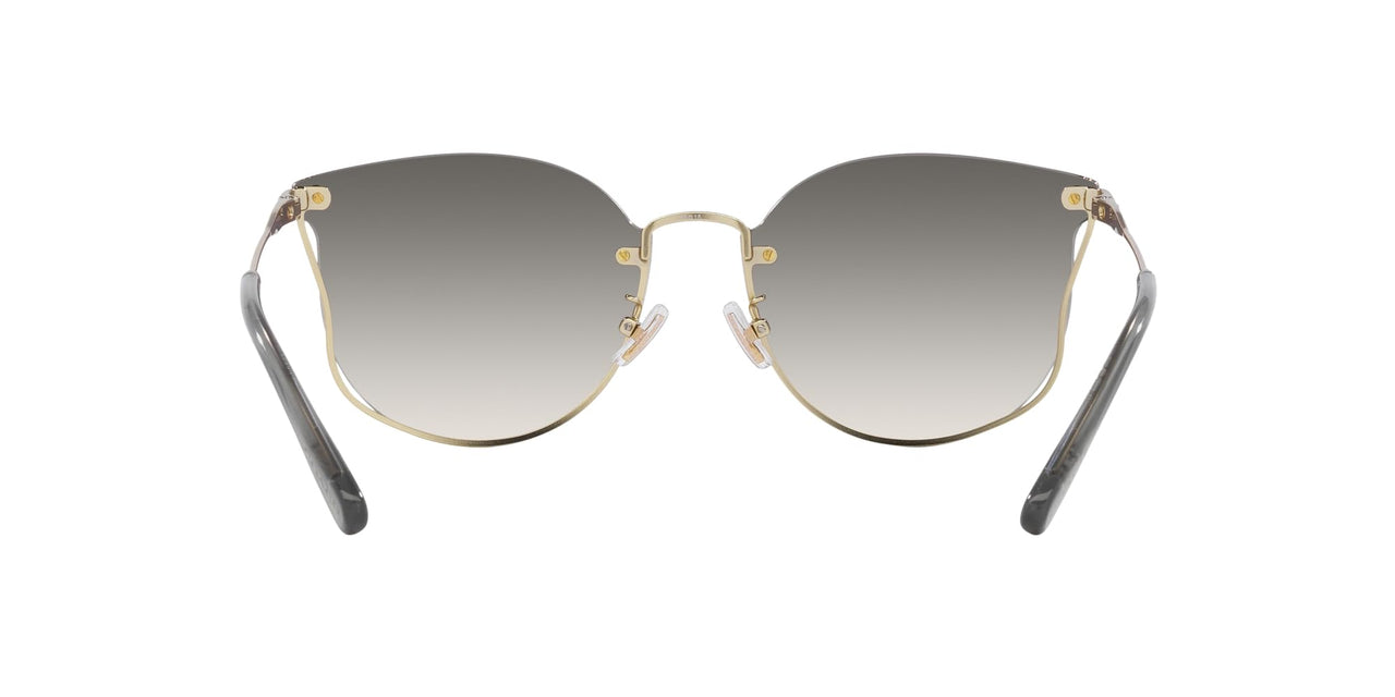 COACH Sunglasses HC 7151 D 900511 Ch573 Shiny Light Gold Black G