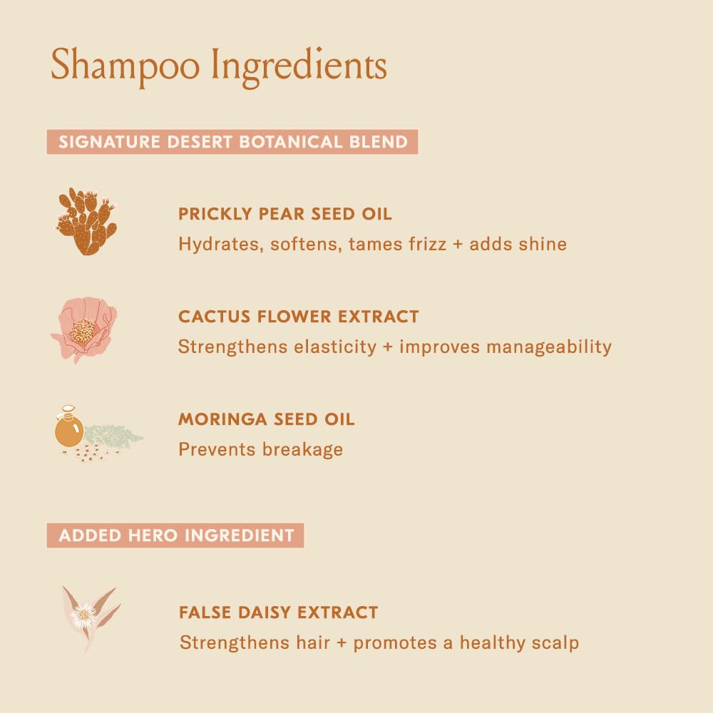 DAE Signature Shampoo - Cleanses & Hydrates Dry Hair & Scalp (32 oz.)