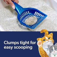 Thumbnail for Fresh Step Clean Paws Cat Litter With Febreze Freshness, Multi-Cat Low-Tracking Clumping Litter With Guaranteed Odor Control, 22.5 lb. Box