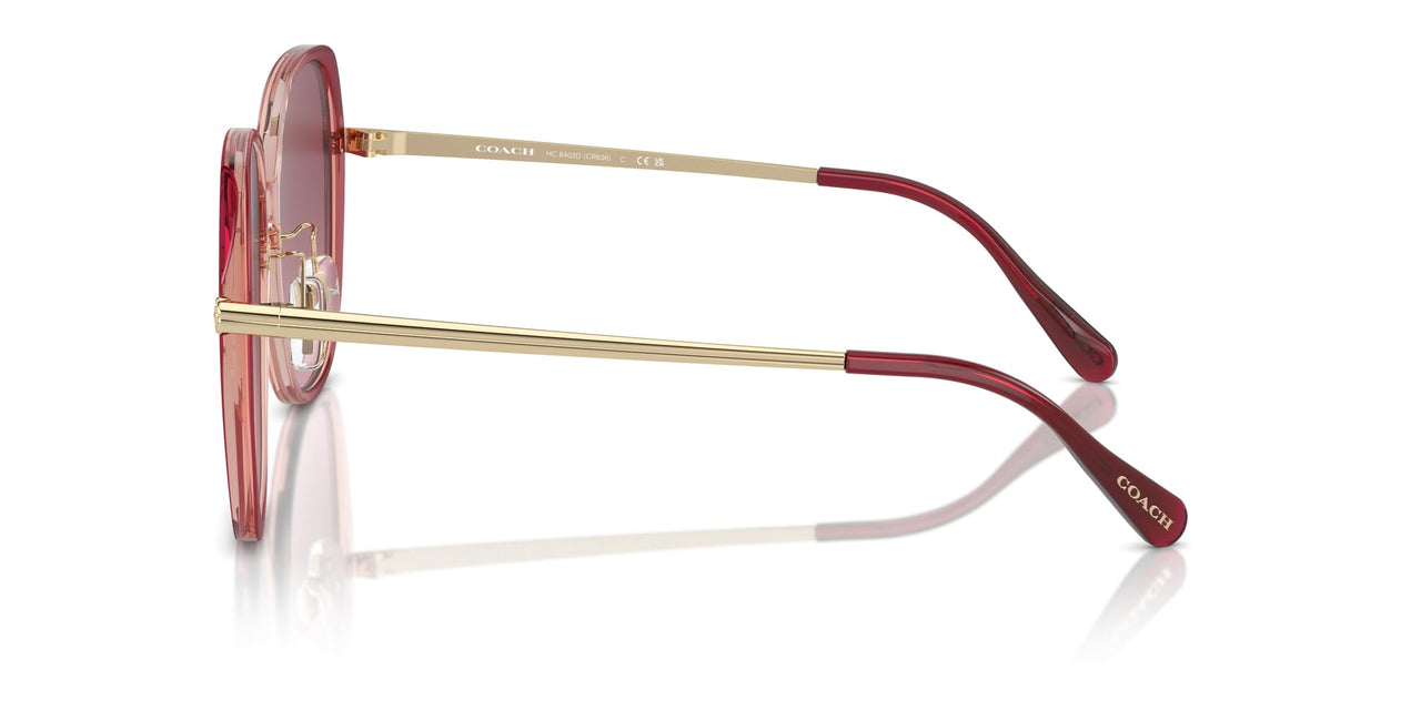 COACH Sunglasses HC 8403 D 58268H Cr636 Burgundy/Pink Gradient