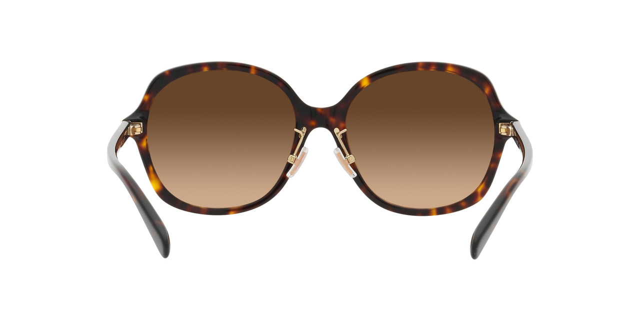 COACH HC8360F Low Bridge Fit Sunglasses, Dark Tortoise/Brown Gradient, 58 mm