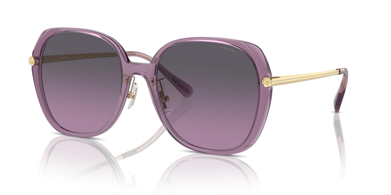 COACH Sunglasses HC 8403 D 582590 Cr636 Transparent Purple Grey