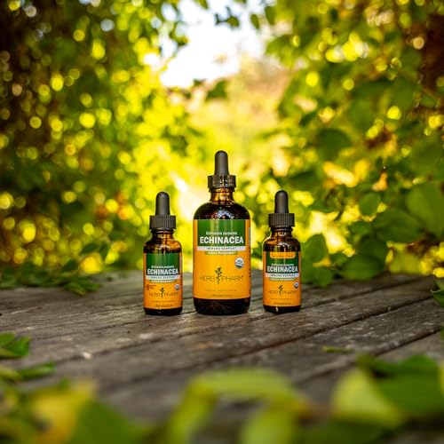 Herb Pharm Certified Organic Echinacea Root Liquid Extract for Immune System Support, Organic Cane Alcohol, 4 Ounce