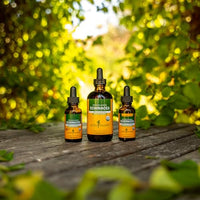 Thumbnail for Herb Pharm Certified Organic Echinacea Root Liquid Extract for Immune System Support, Organic Cane Alcohol, 4 Ounce