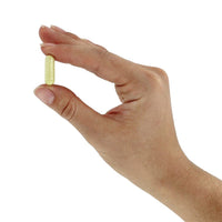 Thumbnail for NOW Foods Rutin 450 mg - 100 Veg Capsules