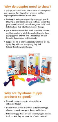 Thumbnail for Nylabone Original Bone Flexi Chew Toy for Dogs, Dog Toys for Moderate Chewers, Dog Chew Bones, Chicken & Original Flavor, For X-Small Dogs - Up to 15 lbs, 3 Pack