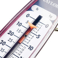 Thumbnail for Taylor Precision Products Hanging Scale 70-Pound/32-Kilogram, 2 Pack