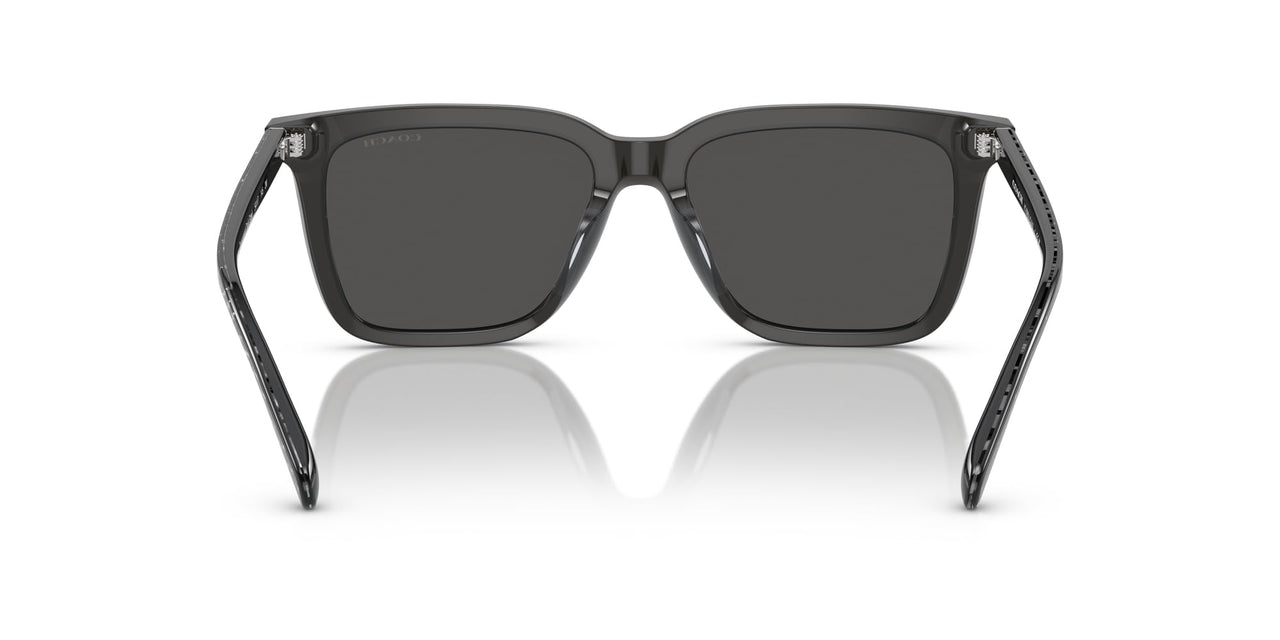COACH Sunglasses HC 8385 U 579387 Cl910 Transparent Dark Grey Gr