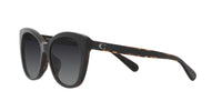 Thumbnail for Coach Sunglasses HC 8365 U 5764T3 Ch566 Black/Dark Tortoise Gr
