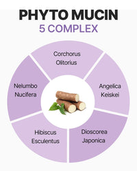 Thumbnail for Mediheal Collagen Mucin Essence Facial Mask, Moisturizing & Nourishing Facial Sheet Mask for Stressed Skin, Collagen and Vegan Mucin, Eco-Friendly & Hypoallergenic Cellulose Sheet 15 Sheet
