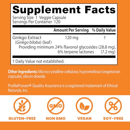 Doctor's Best Extra Strength Ginkgo, Non-GMO, Gluten Free, Vegan, Soy Free, Promotes Mental Function and Memory, 120 mg, 120 Count (Pack of 1)