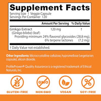 Thumbnail for Doctor's Best Extra Strength Ginkgo, Non-GMO, Gluten Free, Vegan, Soy Free, Promotes Mental Function and Memory, 120 mg, 120 Count (Pack of 1)