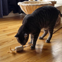 Thumbnail for SPOT Naturals Silver Vine Cat Toy – Natural Interactive Enrichment for Cats, Stimulates Play and Reduces Stress, Durable and Safe, Perfect for Indoor Cats and Kittens, Assorted Styles, 1 Piece