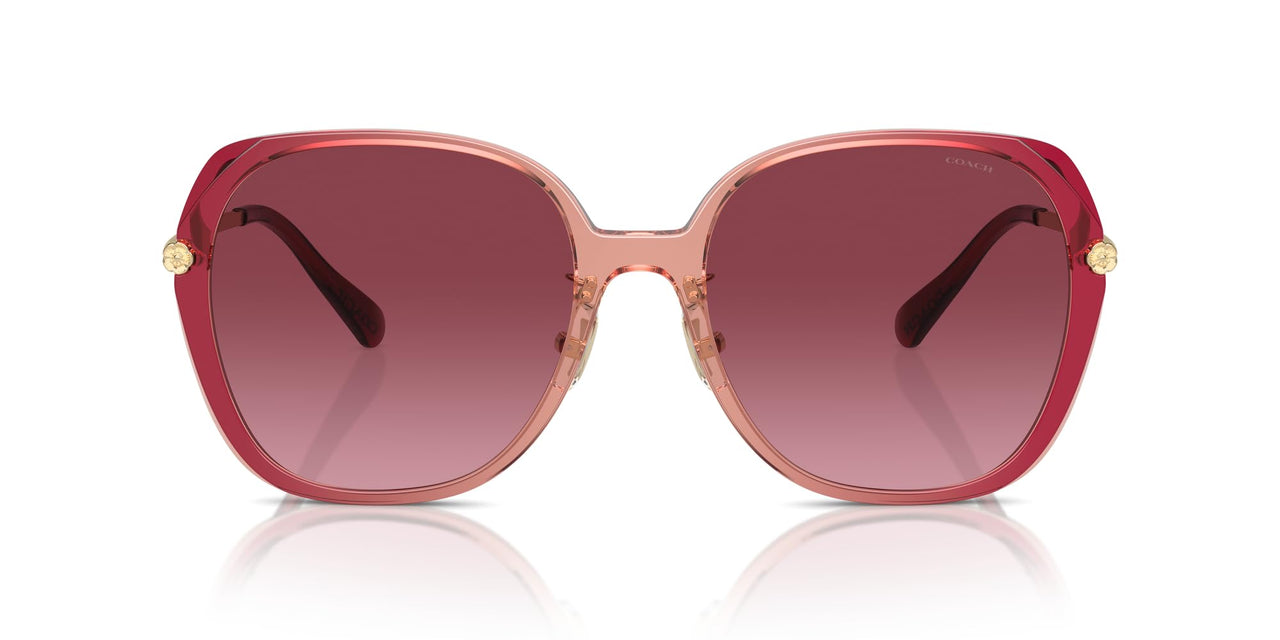 COACH Sunglasses HC 8403 D 58268H Cr636 Burgundy/Pink Gradient