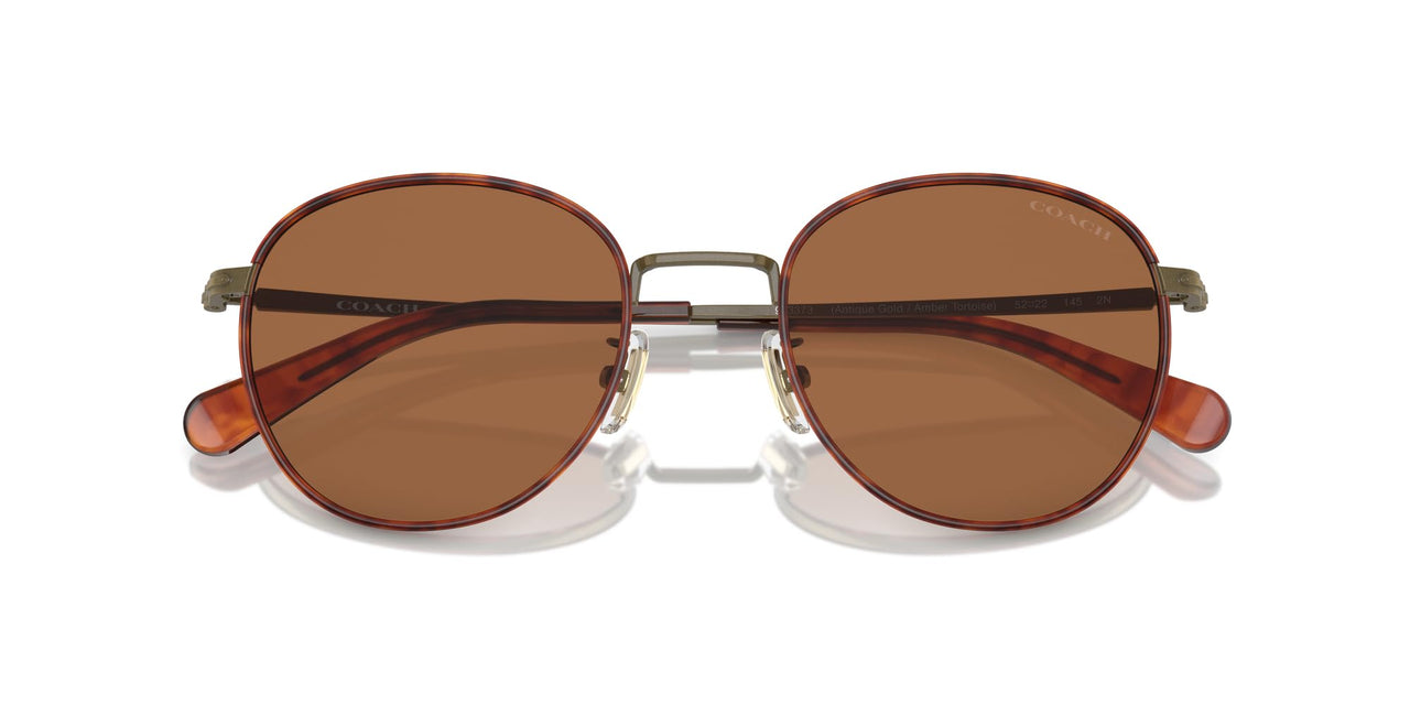 COACH Men's HC7163 Round Sunglasses, Antique Gold/Amber Tortoise/Amber Solid, 52 mm