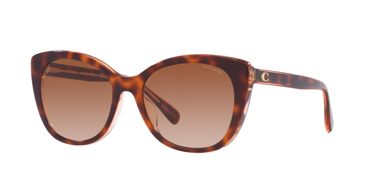Coach HC8365U Universal Fit Sunglasses, Tortoise/Transparent Pink/Brown Pink Gradient, 55 mm