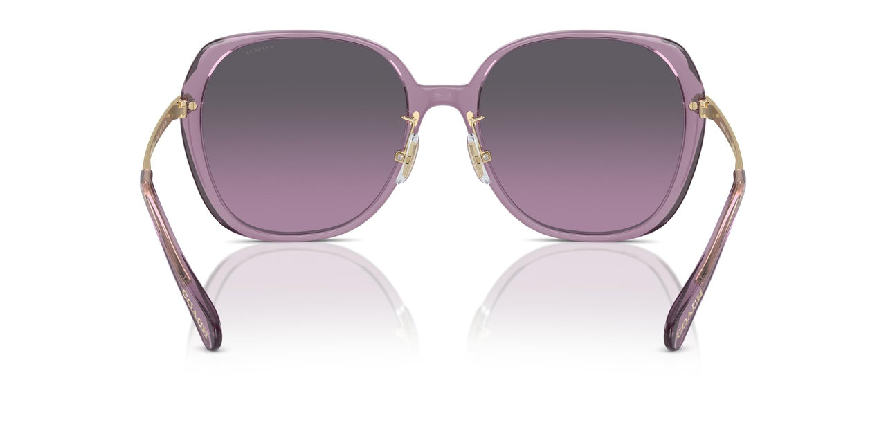 COACH Sunglasses HC 8403 D 582590 Cr636 Transparent Purple Grey