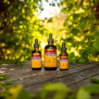 Thumbnail for Herb Pharm Ashwagandha, Alcohol Free: Organic Liquid Extract | Traditional Stress Support Supplement, Vegan Ashwagandha Root Glycerite, Adaptogen Extract for Adults | Up to 12 Week Supply, 4 oz* 