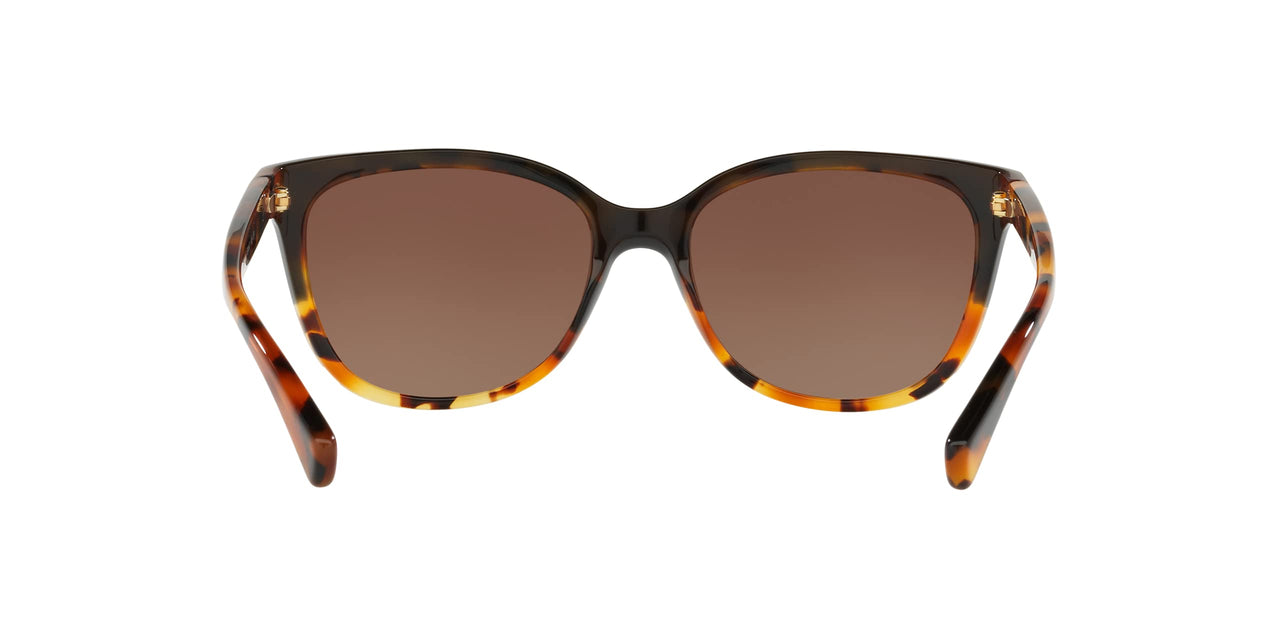 COACH HC8132 Sunglasses, Black Tortoise Gradient/Brown Gradient Polarized, 57 mm