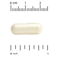 Thumbnail for California Gold Nutrition EuroHerbs™, Echinacea Herb Extract, Euromed Quality, 80 mg, 180 Veggie Capsules