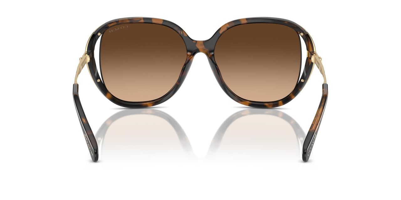 COACH Women's HC8396U Universal Fit Square Sunglasses, Dark Tortoise/Brown Gradient, 56 mm