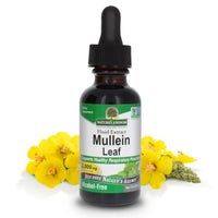 Thumbnail for Nature's Answer Mullein Herb - Mullein Leaf Extract for Lungs - Alcohol Free, Non GMO, Made in USA - Supports Respiratory Function & Promotes Healthy Lungs - Mullein Leaf 1 Ounce Extract