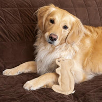 Thumbnail for SPOT Dura-Fused Leather Squirrel Dog Toy – Real Leather & Jute Fabric, Double-Stitched & Durable, Soft Stuffed Squeaky Interactive Chew Toy for Moderate Chewers, Small & Medium Dogs, 8in
