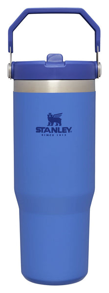 Stanley IceFlow Flip Straw Tumbler with Handle 30 oz | Twist On Lid and Flip Up Straw | Leak Resistant Water Bottle | Insulated Stainless Steel |BPA-Free | Iris